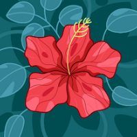 N. de la Flor Ruiz