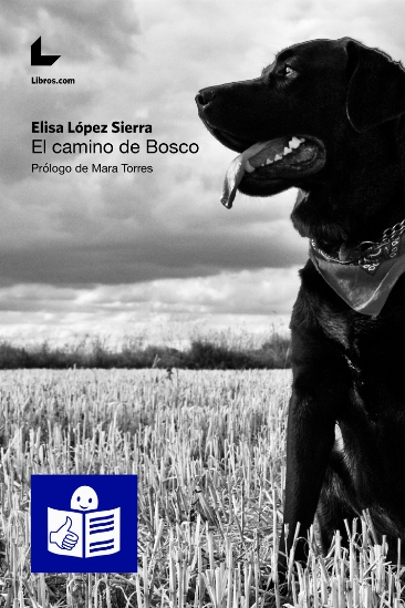 El camino de Bosco El camino de Bosco