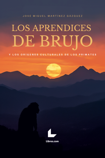 Los aprendices de brujo Los aprendices de brujo
